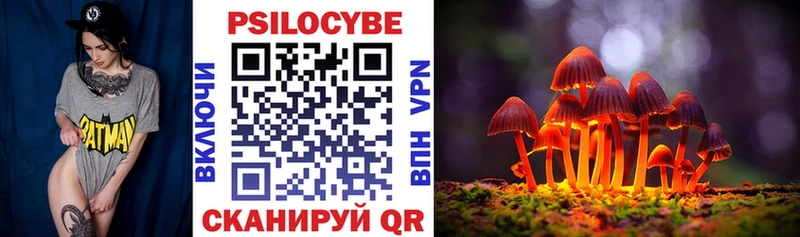 ссылка на мегу Дрезна Псилоцибиновые грибы Psilocybe цены наркотик